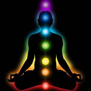 Los chakras o centros de Energia Sutil