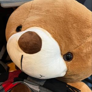 那些凱文才知道的事