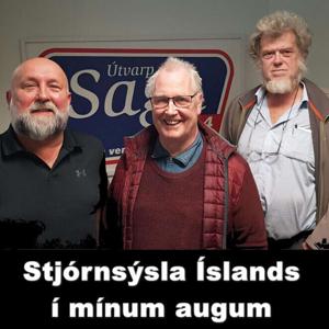 Stjórnsýsla Íslands í mínum augum