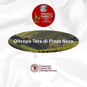 Oltrepò Terra di Pinot Nero