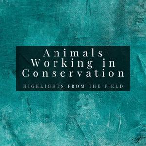 Animals Working in Conservation