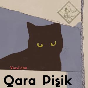 Qara Pişik