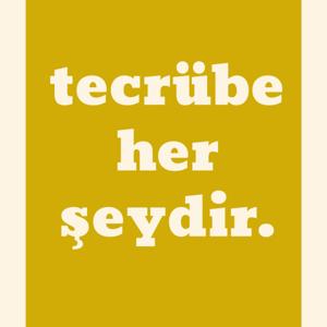 Tecrübe Her Şeydir