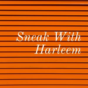 Sneak With Harleem