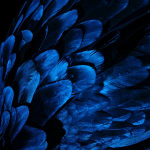 Inspired Short Stories