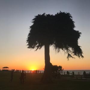 mengao 3Speak Podcast