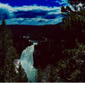 Showing the donkeys poker