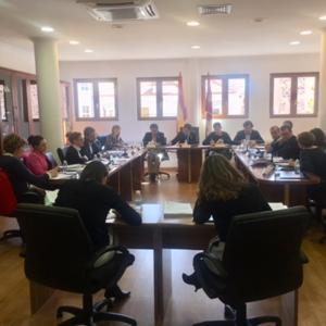 PLENOS AYUNTAMIENTO BOLAÑOS