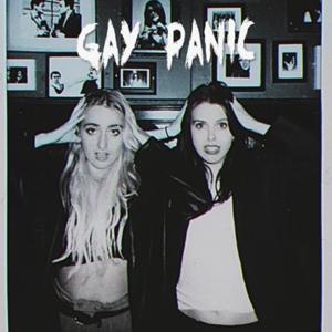 Gay Panic