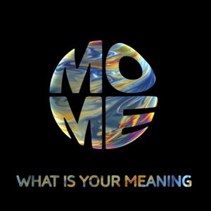 What Is Your Meaning with MOME