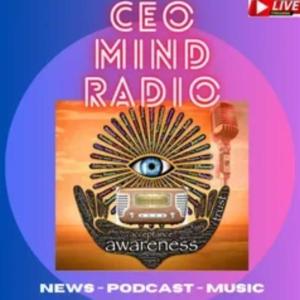 CEO-Mindtech