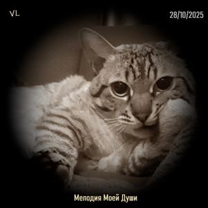 Valery Lazar (DJ Lazar)