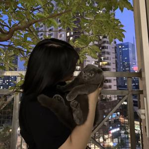 Tớ kể cậu nghe