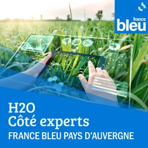 H2O - Côté experts