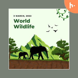 Wildlife by Aarthav Singh