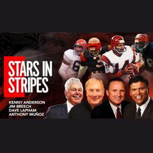 Stars In Stripes
