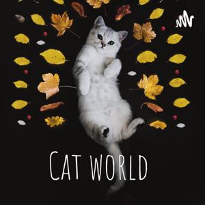 Cat world