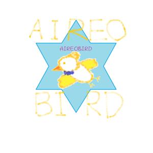 AIREOBIRD BAND(空中飛行鳥單人樂團)