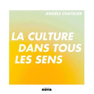 La culture dans tous les sens