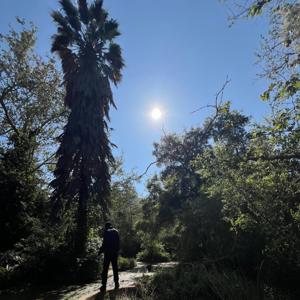 INTO THE GARDEN 💐