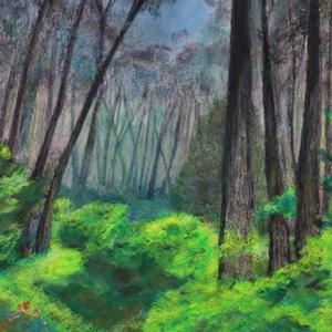 Storie di un'eremita dei boschi