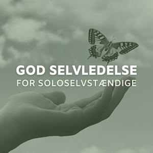 God selvledelse for soloselvstændige