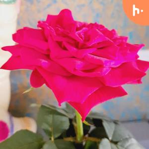 Telusukundaam Telugu lo