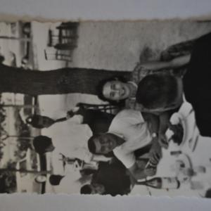 Cartoline dal passato
