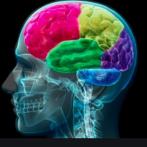 LA CUEVA DEL DINOSAURIO 2020 Y 2021