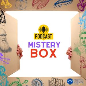 Mistery box
