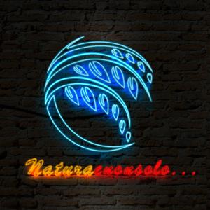 Naturaenonsolo