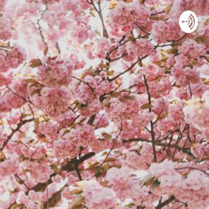 पढ़ो लिखो और बढ़ो