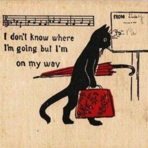 🎵