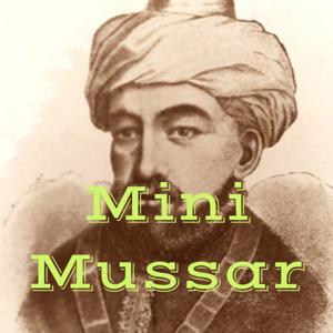 MiniMussar
