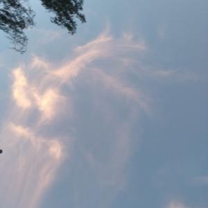 Sandytellyou - Développement De Soi