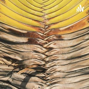 一日不见，如隔三秋