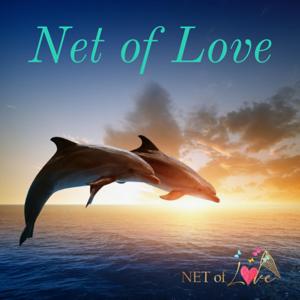 Net of Love