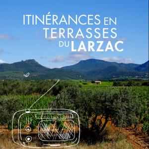 Itinéraires sonores et vin Terrasses du Larzac
