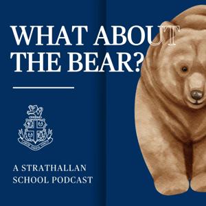 What about the Bear?