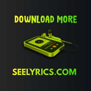Seelyrics Afro Mixtapes