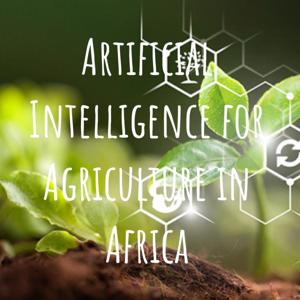 Artificial Intelligence For Agriculture in Low and Middle Income Countries