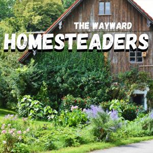 The Wayward Homesteaders