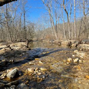 Restoration Cultivation