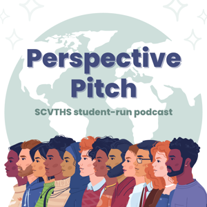 Perspective Pitch