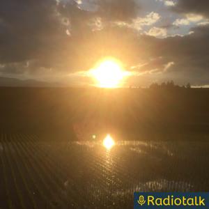 Mieのチャンネル