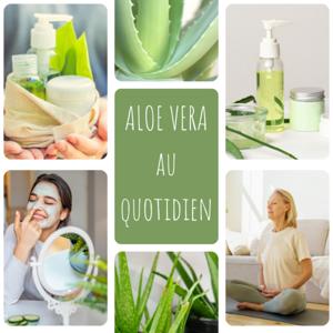 L'Aloe Vera au quotidien