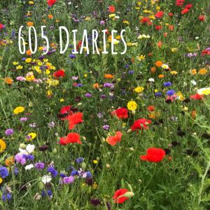 605 Diaries