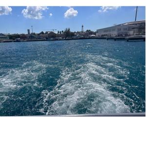 Thoughts +Conversations & BS