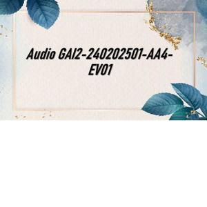 Audio GAI2-240202501-AA4-EV01