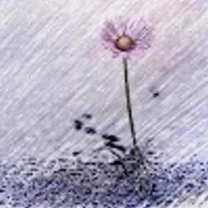 God, Aliens and a Cuppa Coffee with Major Lori Rehfeldt and her sister Donna Rehfeldt Schreiber